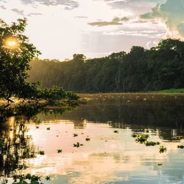 More delays for Brazilian 5G as spectrum auction set for August