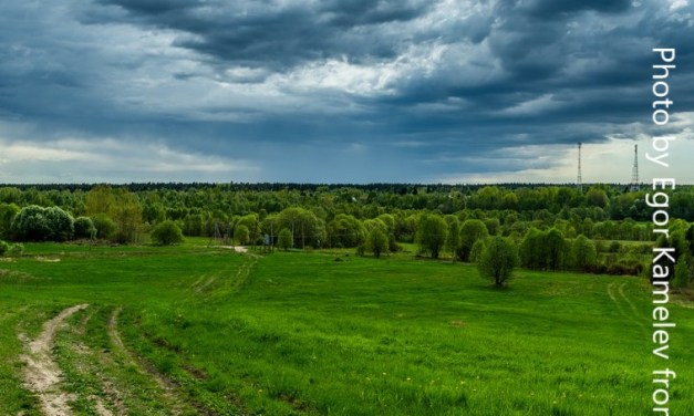 Dish selects IBM to automate its upcoming cloud-native 5G network