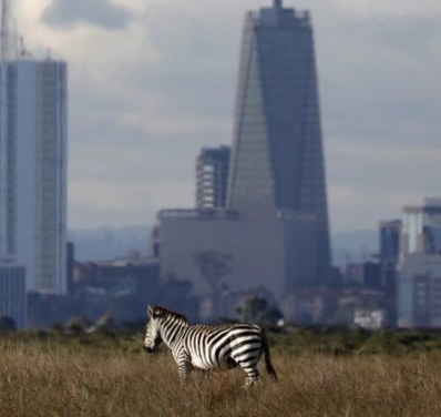 Airtel and Telkom to fight regulator’s merger terms