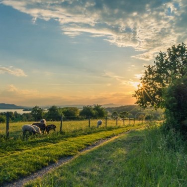 Voneus acquires SugarNet to boost rural broadband reach in the UK