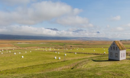 Rural Scotland to see largest benefits from Shared Rural Network