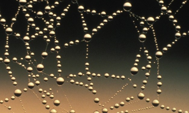 Colt takes network innovation to new heights with a 400G-capable Routed Optical Networking solution on its IQ Network