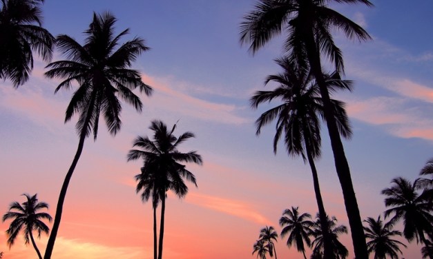 PEACE comes to Marseille