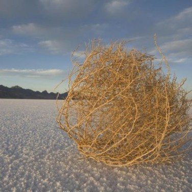 Can the Spanish public fill the void at MWC 2021?