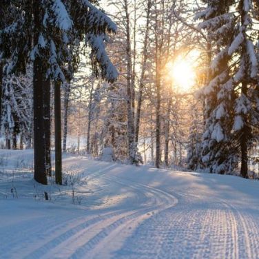 Nokia pulls out of Russia entirely