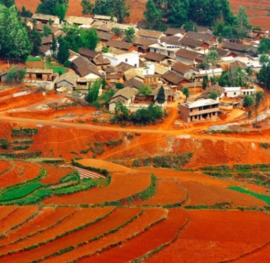 Huawei Completes First Commercial Use of Its Butterfly Site, a Rural Mobile Network Solution