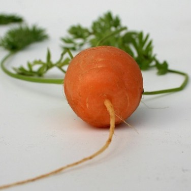 Austria uses carrot and stick to drive rural 5G coverage