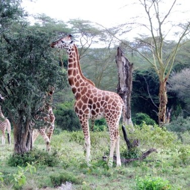 New leader at Airtel Kenya