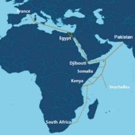 PEACE subsea cable expanding to South Africa