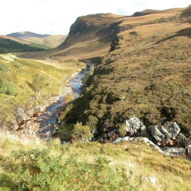 Rural broadband schemes on lookout for healthy suppliers, not just cheap tech