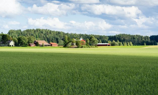 Lack of rural 5G poses new digital divide, Vodafone study finds