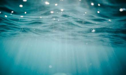 WSense and ASN eye the creation of ‘underwater Wi-Fi’ network