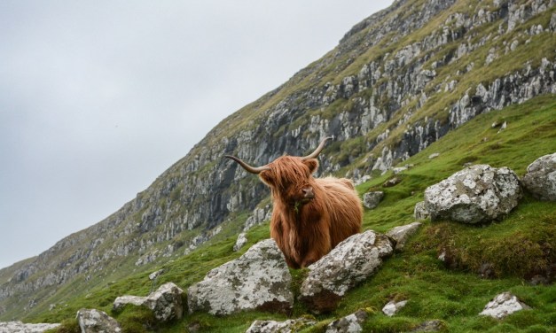 Scotland to evaluate R100 fibre broadband project 