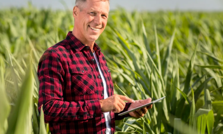 RTA Deploys Fiber-To-The-Premises with DZS Technology to Bring World-Class Broadband Experience to Texas’ Bolivar Peninsula