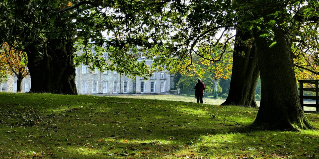 Wessex Internet Awarded £18m for South Wiltshire Broadband Expansion 