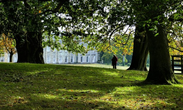 Wessex Internet Awarded £18m for South Wiltshire Broadband Expansion 