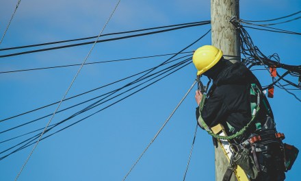 Broadband poles no problem for Brits says new study
