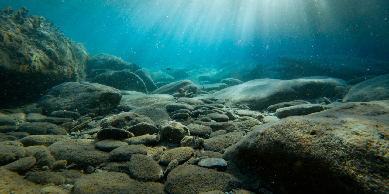 Red Sea cable repairs delayed as Yemeni govt probes AAE-1 consortium