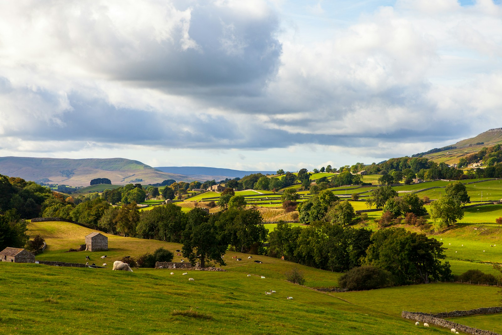 Mobile UK launches Better Connected Rural campaign - Total Telecom