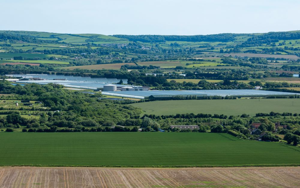 Boldyn Networks and West Sussex County Council to drive 5G powered smart food and wine production