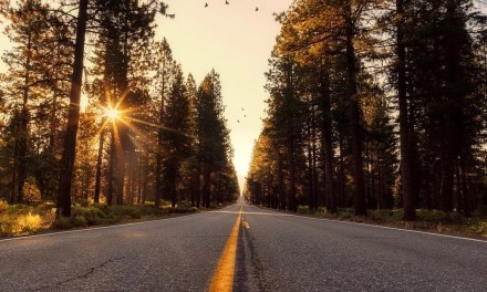 California’s aggressive approach to the digital divide