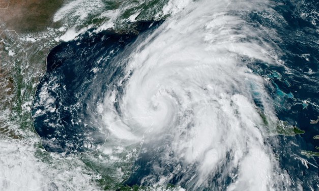 FCC licences Starlink’s direct-to-device services as part of hurricane relief efforts