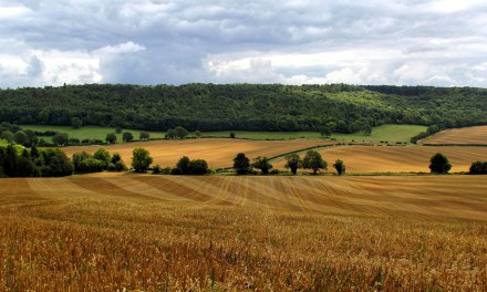 UK govt looks to satellite to solve rural connectivity woes 