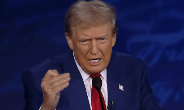 Trump beats Harris, markets react