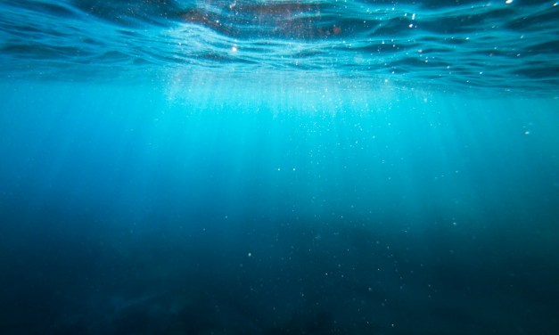 Baltic subsea cable cuts feared to be act of ‘hybrid warfare’