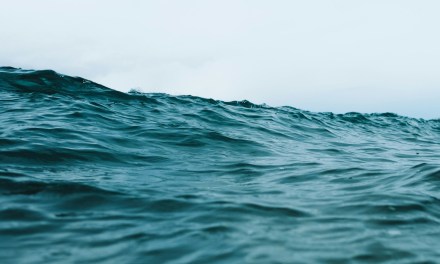 Heavily delayed ADC submarine cable system finally goes live in East Asia