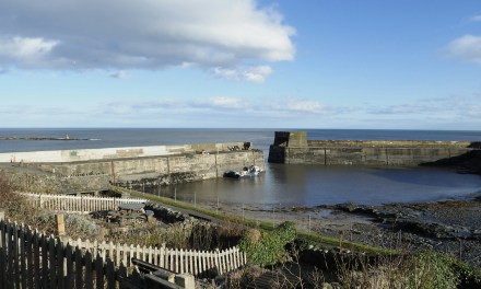 VMO2 bring connectivity to rural notspot with Starlink 