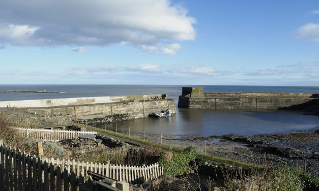 VMO2 bring connectivity to rural notspot with Starlink 