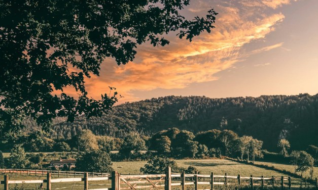 Openreach secures £289m in Project Gigabit contracts 