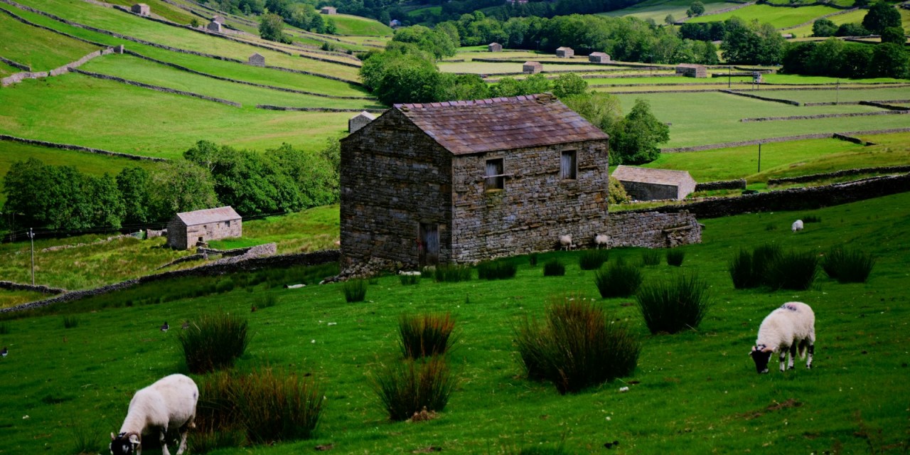 Labour to slash rural broadband funding 