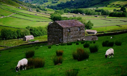 Labour to slash rural broadband funding 