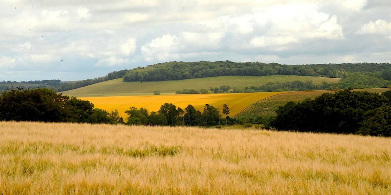 VMO2 commits £700m to improve 4G and 5G networks 