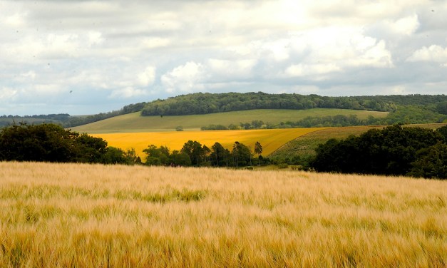 VMO2 commits £700m to improve 4G and 5G networks 