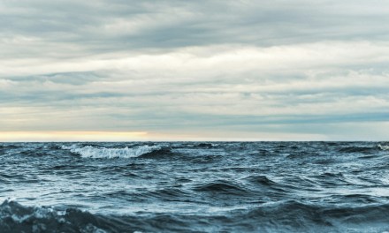 No sign Baltic subsea cable damage was deliberate, say Swedish authorities