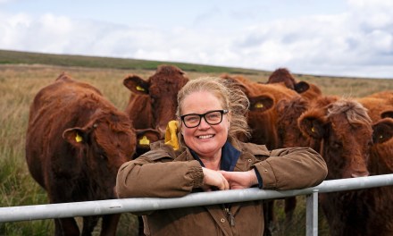 One-in-ten UK farmers lack internet connectivity