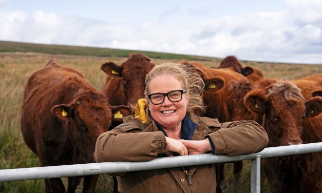One-in-ten UK farmers lack internet connectivity