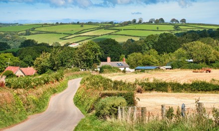 FullFibre withdraws from Project Gigabit contracts 