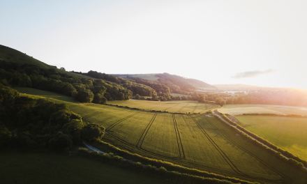 Project Gigabit update: Openreach connects 38 rural communities 