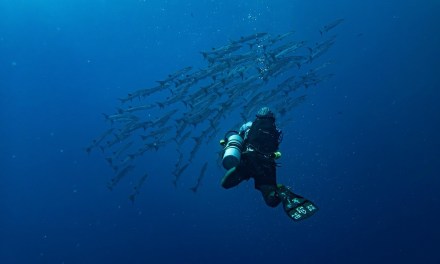 New warning from CSRI that UK undersea infrastructure is at risk from China and Russia