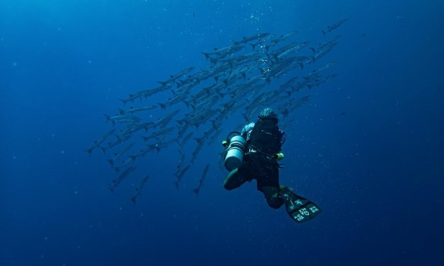 New warning from CSRI that UK undersea infrastructure is at risk from China and Russia