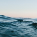 Photo by Matt Hardy on Unsplash