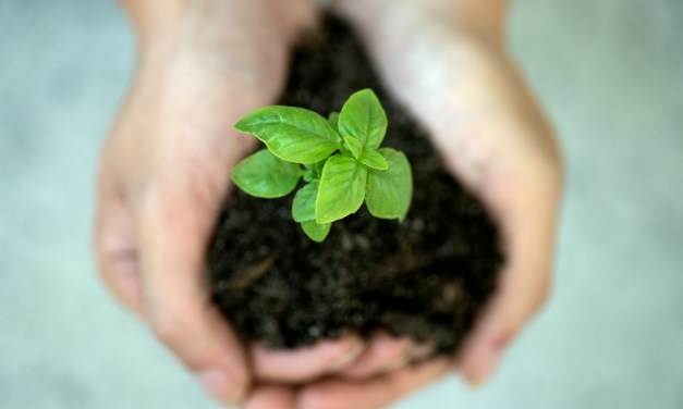 ACOME talks tackling ambitious carbon goals and the conundrum of cost