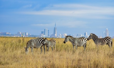 Vodacom buys $2.1bn stake in Safaricom, gains majority control