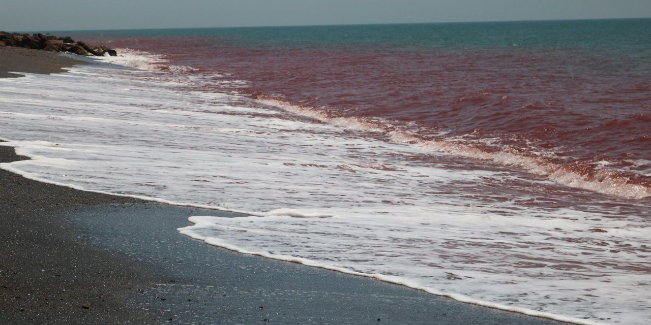 War in Iran sees 2Africa’s Pearls extension paused