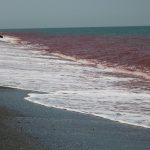 a beach with waves coming in to shore