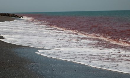 War in Iran sees 2Africa’s Pearls extension paused